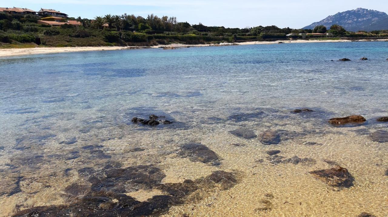 올비아 Lo Sguardo Sulla Citta' ,Panoramic View 아파트 외부 사진