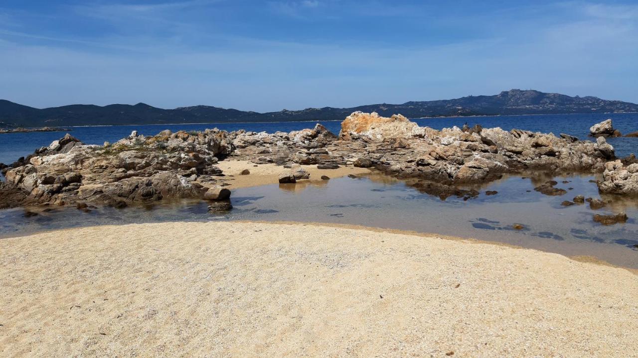 올비아 Lo Sguardo Sulla Citta' ,Panoramic View 아파트 외부 사진